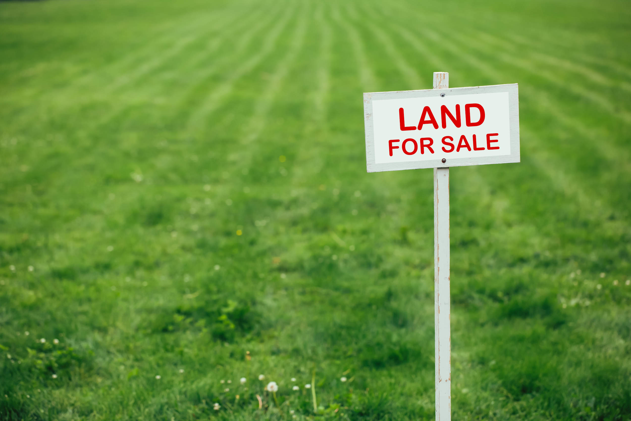 Raw Land Real Estate | Doug Edwards | CRR Real Estate Agent 